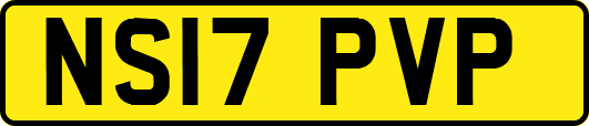 NS17PVP
