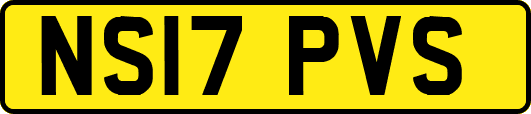 NS17PVS