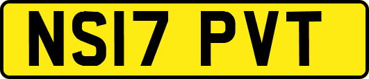 NS17PVT