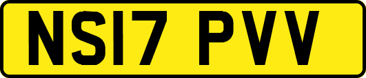NS17PVV
