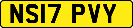 NS17PVY