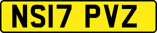 NS17PVZ