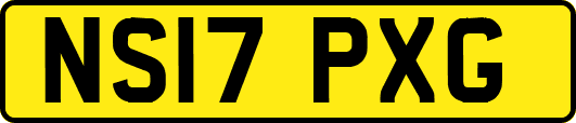 NS17PXG