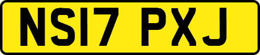NS17PXJ