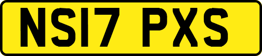 NS17PXS