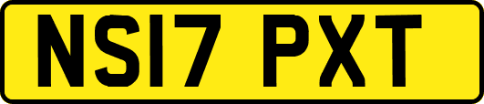 NS17PXT