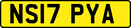 NS17PYA