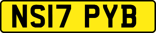 NS17PYB