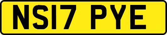 NS17PYE