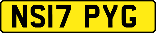 NS17PYG