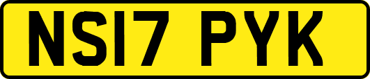 NS17PYK