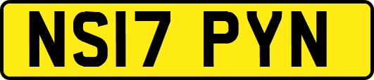 NS17PYN
