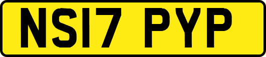 NS17PYP