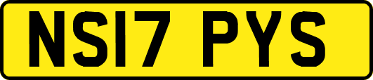 NS17PYS