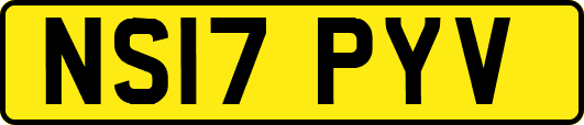 NS17PYV