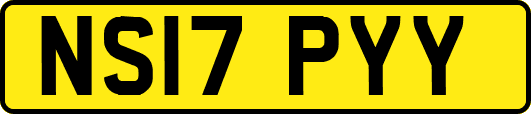 NS17PYY