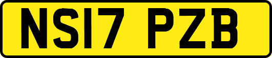 NS17PZB