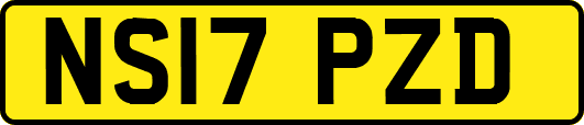 NS17PZD