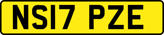 NS17PZE