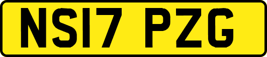 NS17PZG