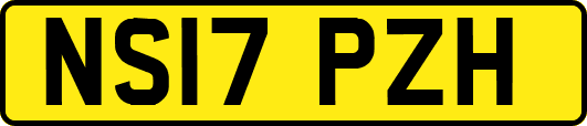 NS17PZH