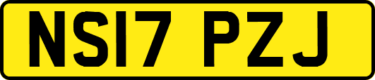 NS17PZJ