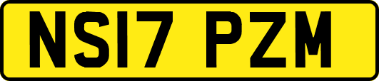 NS17PZM