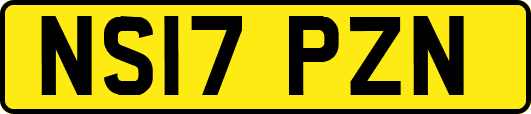 NS17PZN
