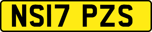 NS17PZS