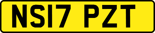 NS17PZT
