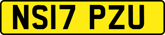NS17PZU