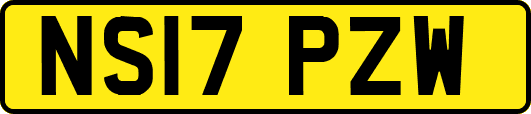 NS17PZW