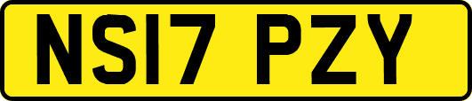 NS17PZY