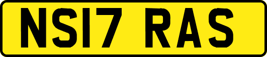 NS17RAS