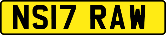 NS17RAW