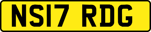 NS17RDG