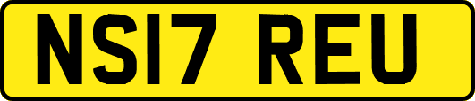 NS17REU