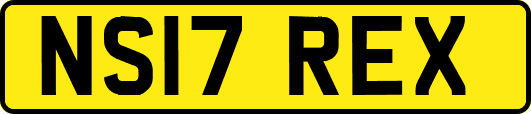 NS17REX