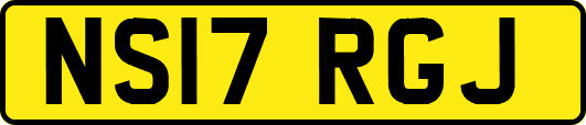 NS17RGJ