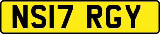 NS17RGY