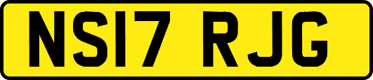 NS17RJG