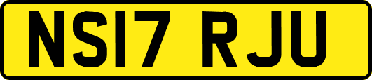 NS17RJU