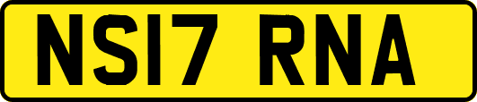 NS17RNA