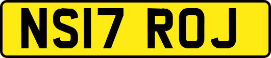 NS17ROJ