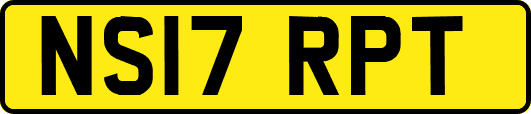 NS17RPT