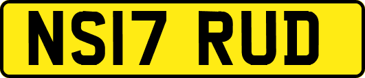 NS17RUD