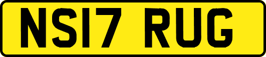 NS17RUG