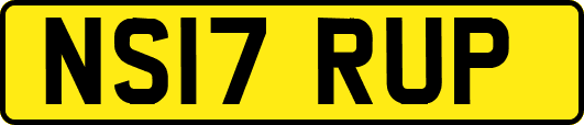NS17RUP