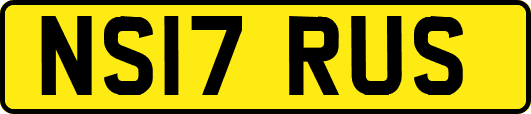 NS17RUS