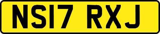 NS17RXJ